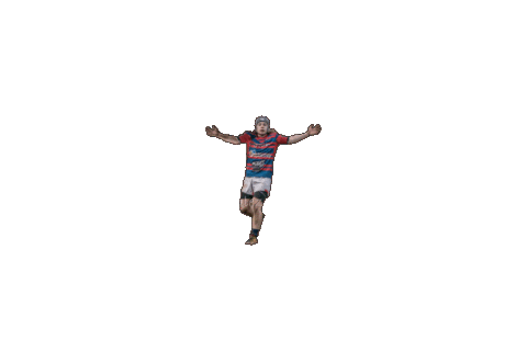 calzada rugby Sticker