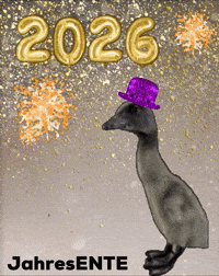 Guten Rutsch New Year GIF