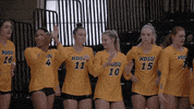 Dance Steffen GIF by NDSU Athletics
