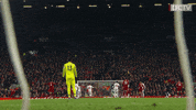 happy premier league GIF by Liverpool FC