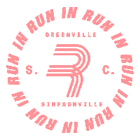 South Carolina Runner Sticker by Run In