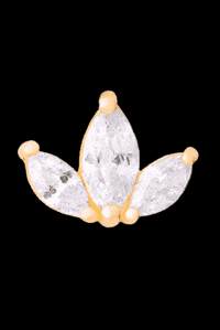 vendavaljewelry vj piercing oro sabi GIF