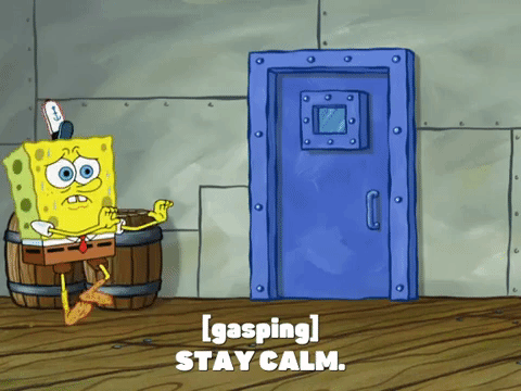 Stay Calm Season 8 GIF by SpongeBob SquarePants