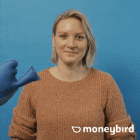 Moneybird moneybird GIF