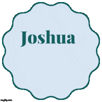 tralaapp violin trala joshuabellxtrala tralaapp Sticker