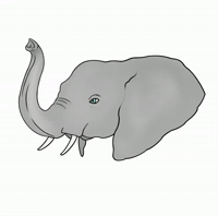 drawsofblue dob drawsofblue dofelephant GIF
