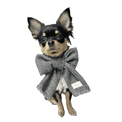 Dog Sticker