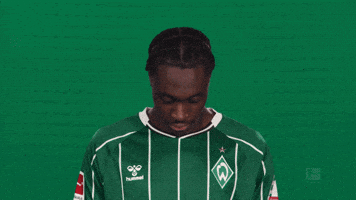 Werder Bremen Salifou GIF by Bundesliga