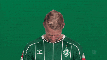 Werder Bremen Grull GIF by Bundesliga