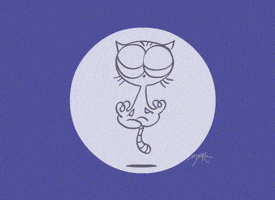 cat yoga GIF by marko