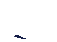 Circle Highlight Sticker by Grace Prep Academy