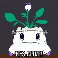 Trick Or Treat Halloween GIF by Magic Eden