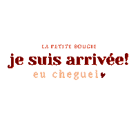 Delivery Unpacking Sticker by La Petite Bougie