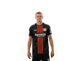 bundesliga peace Sticker by Bayer 04 Leverkusen