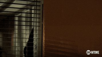 liev schreiber showtime GIF by Ray Donovan