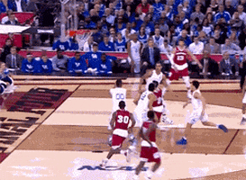 final four basketball GIF by The Daily Dot