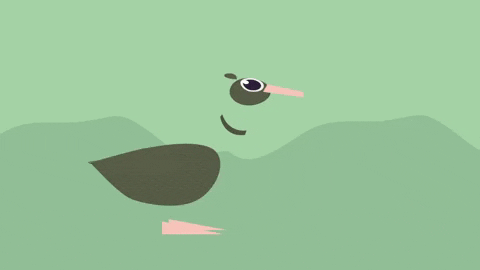 macbiggle giphyupload animation animal vibes GIF
