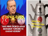 Dem Chp GIF