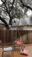 First Responders Focus on Downed Power Lines and Trees as Winter Storm Batters Austin