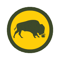 Buffalo Sticker by Bison Botanics