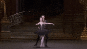Swan Lake GIF by Royal Opera House