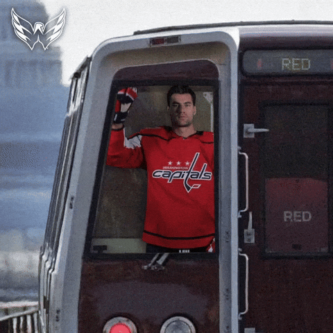 Celebrate Ice Hockey GIF by Capitals