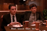 season 1 GIF by Twin Peaks on Showtime