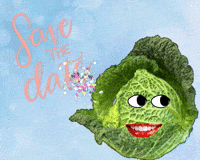 Save The Date Party GIF