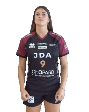 Hand Handball Sticker by JDA Dijon Basket