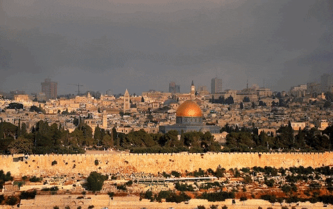 internettiful giphygifmaker GIF