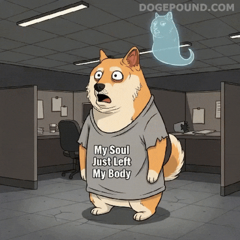 Over It Omg GIF by Doge Pound