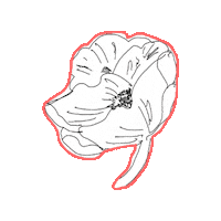 Art Flower Sticker by FDF LV Bayern