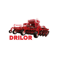 Campo Sticker by Crucianelli