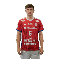 Handball Hamburg Sticker by DAIKIN HBL