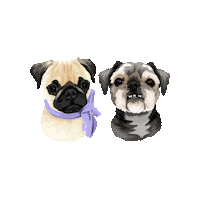 Dog Puppy Sticker by Pickle's Pawtraits