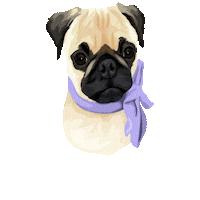 Scooterandmika Sticker by Pickle's Pawtraits