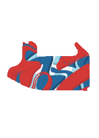 Racing F1 Sticker