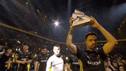Navi Natus Vincere GIF by BLAST