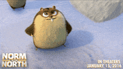 #norm #normofthenorth GIF by Lionsgate