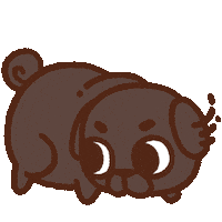 Look Around What Sticker by Puglie Pug