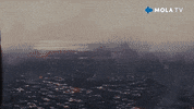 Looking War GIF by MolaTV