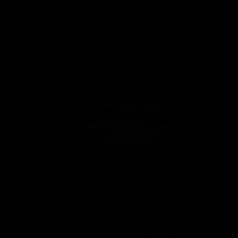 mintpaylk giphygifmaker mint pay sri lanka GIF