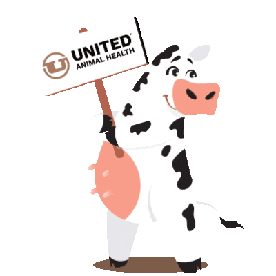unitedanh giphyupload cow livestock uah Sticker