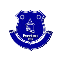 Premier League Football Sticker by Curtains Cool