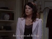 season 6 netflix GIF by Gilmore Girls 