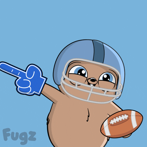 Super Bowl Football GIF by Fugz Official