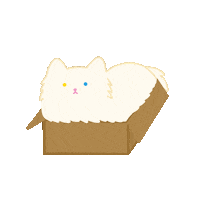 White Cat Kitty Sticker