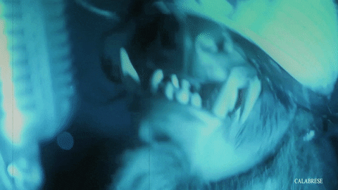 music video werewolf GIF by CALABRESE