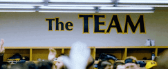 Go Blue College Football GIF by Michigan Athletics