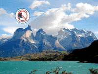 You Can Wow GIF by FranchiseONE.de